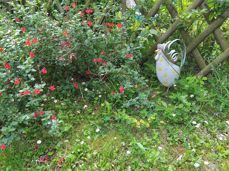 Jardin du gîte