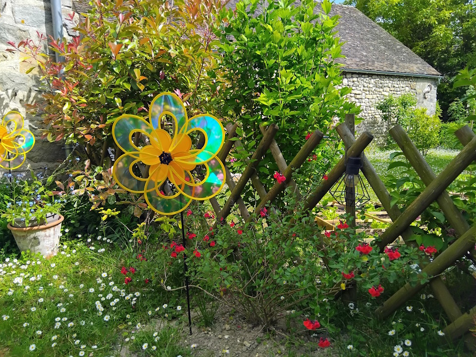 Jardin du gîte en fleur